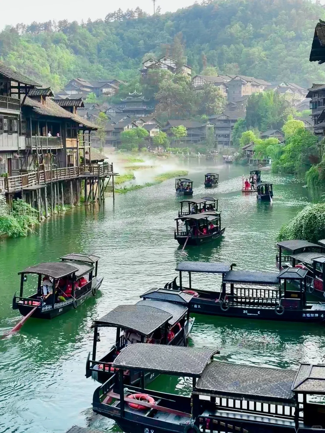 被《国家地理》评为中国最美杜鹃花海的现状