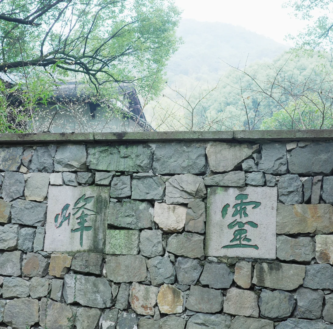 灵峰探梅