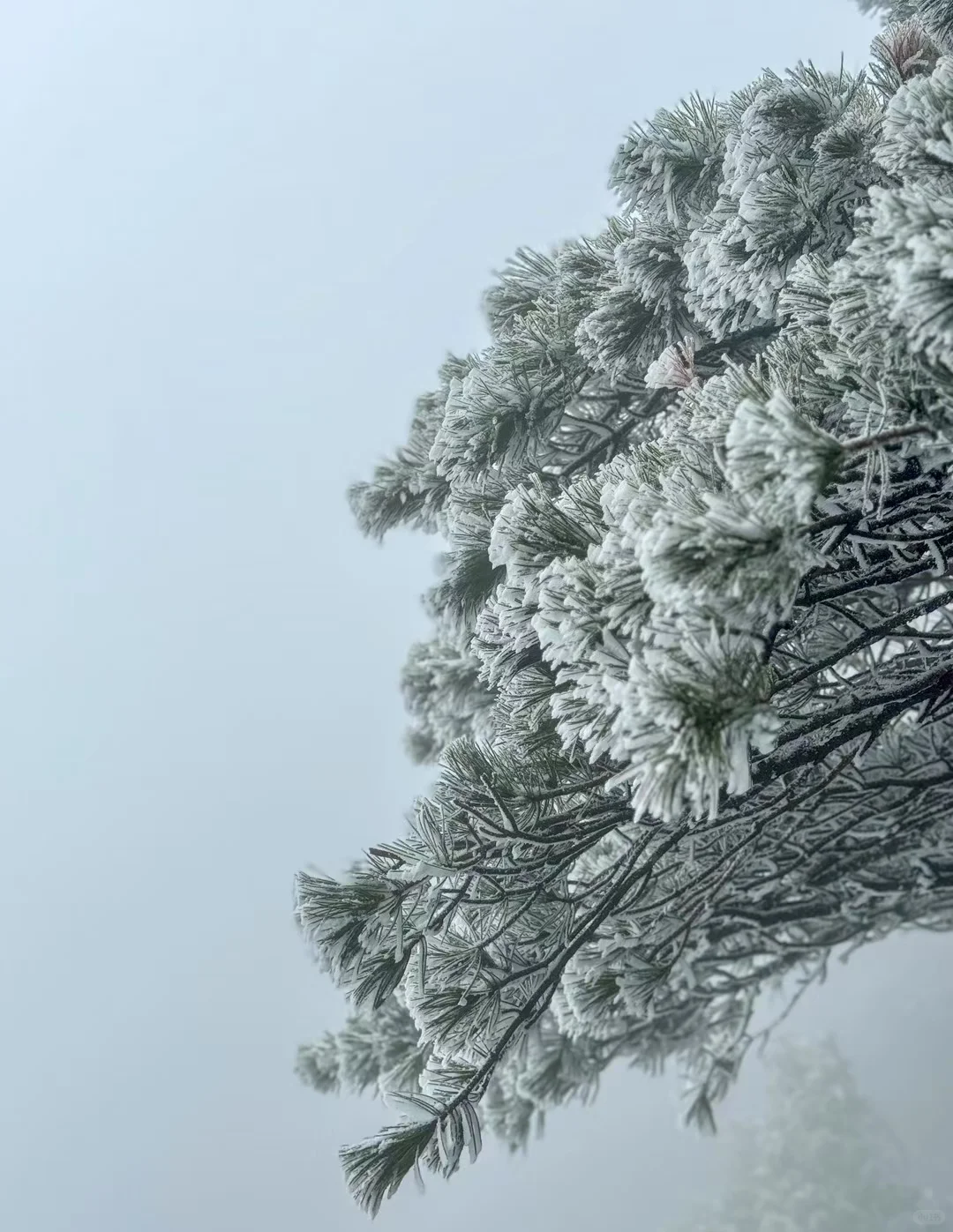 三清山