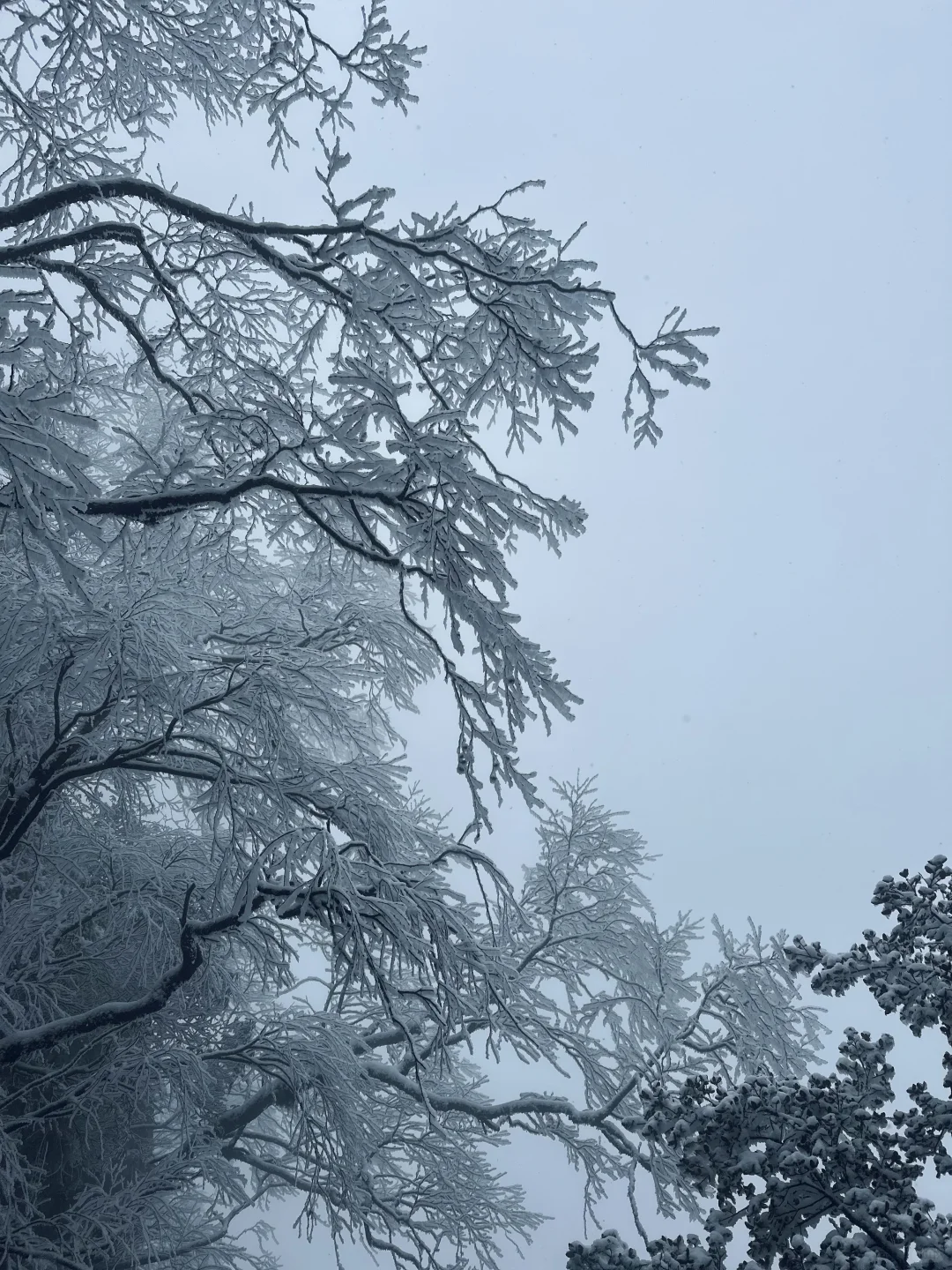 西安至汉中龙头山一日游攻略，看雪景啦
