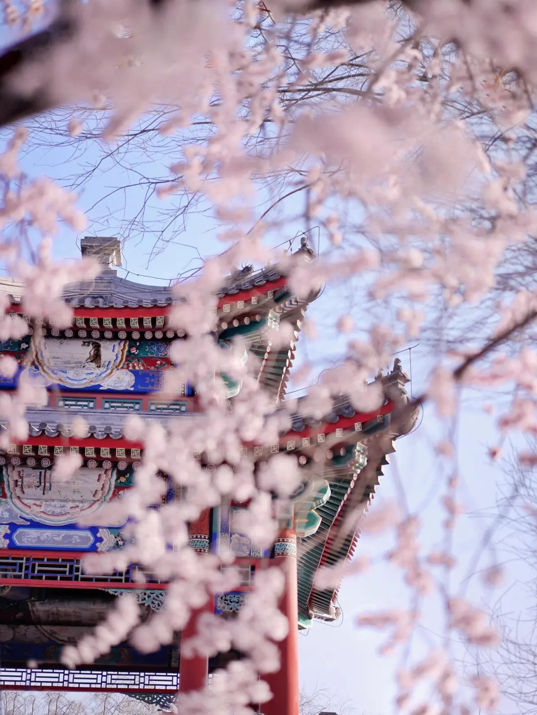 北京旅游🔥一家一团私人订制家庭纯玩来咯