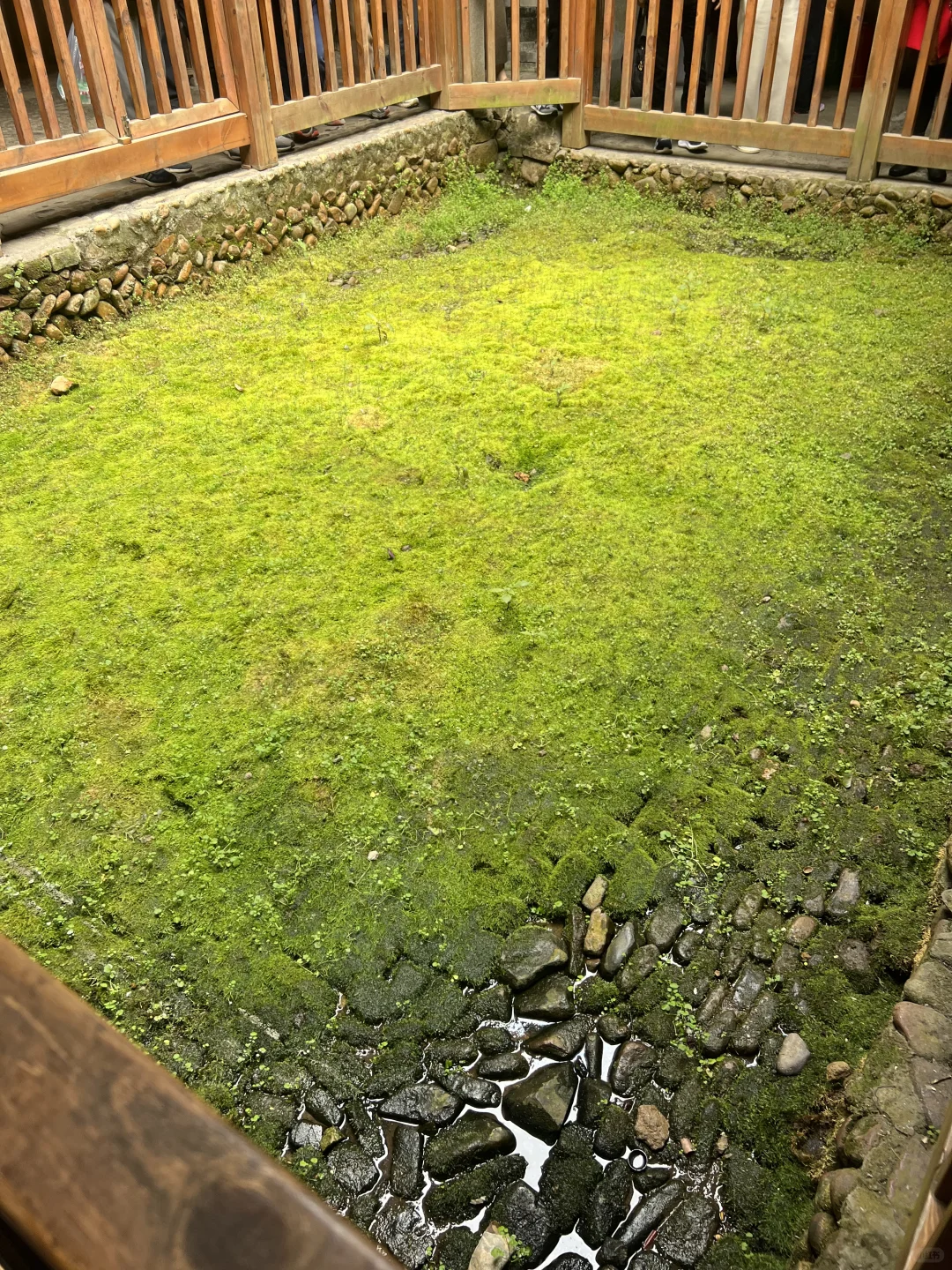 厦门旅游攻略#云水谣土楼篇