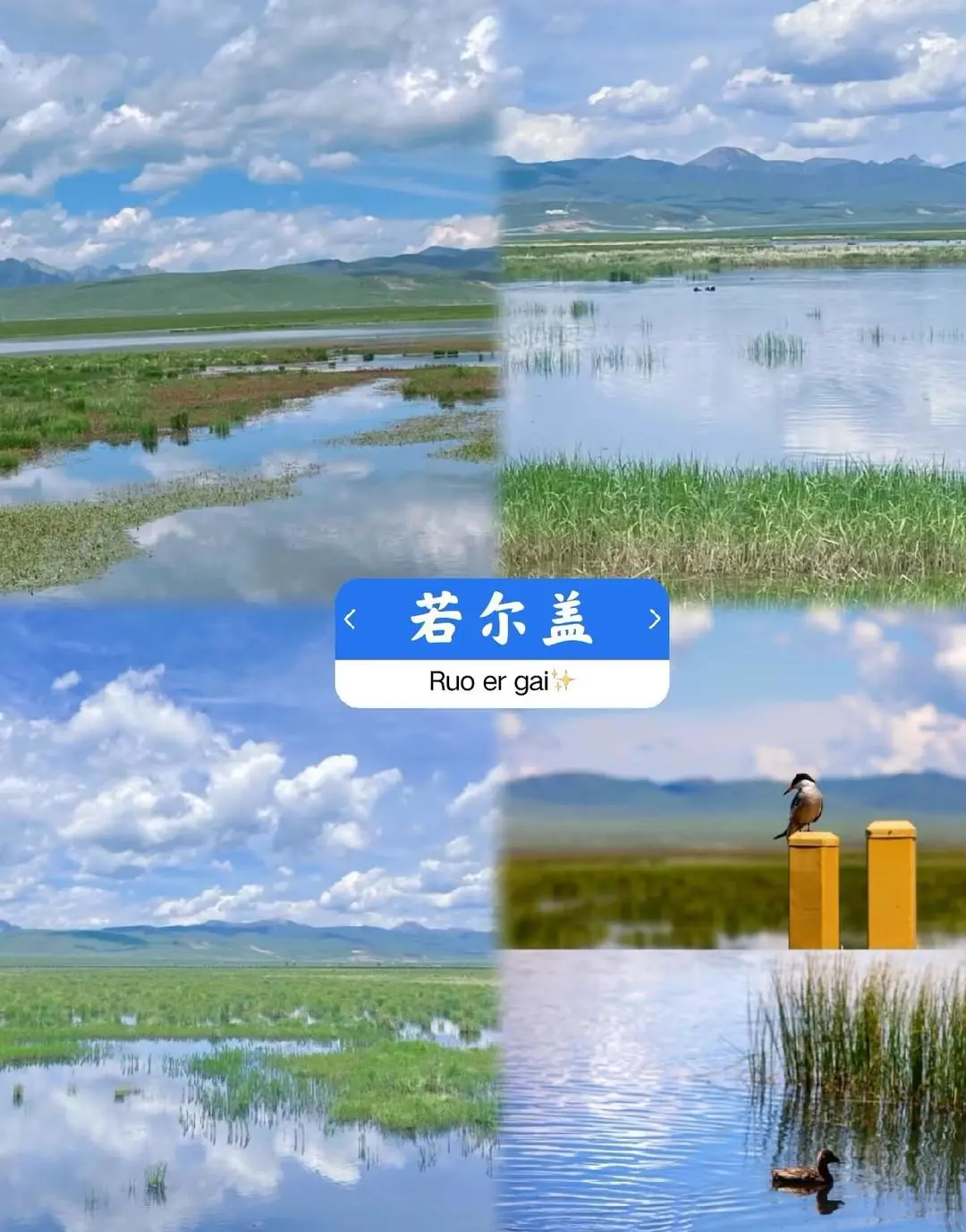 四川旅行必打卡的美丽景点