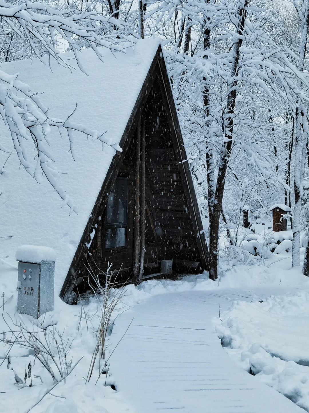 传下去❗️长白山蓝景雪季封板暴跌😭