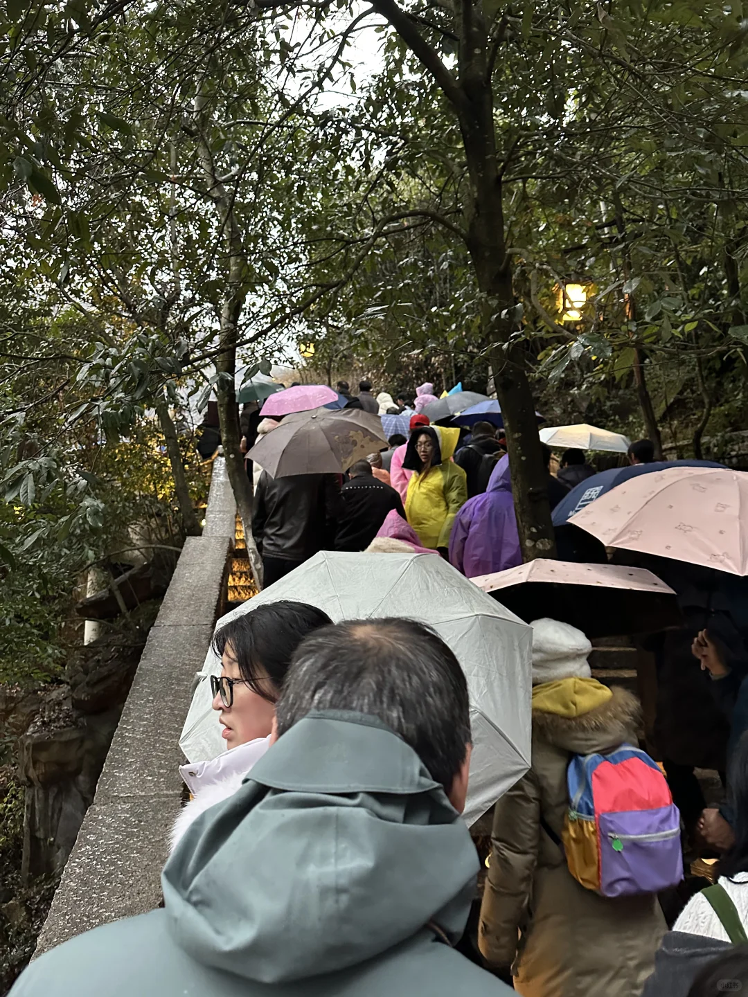 大年初四望仙谷实况