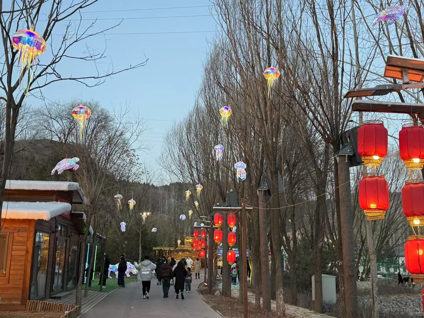 旅游景点打卡