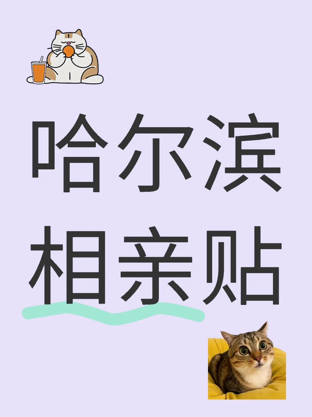 真诚的哈尔滨相亲贴