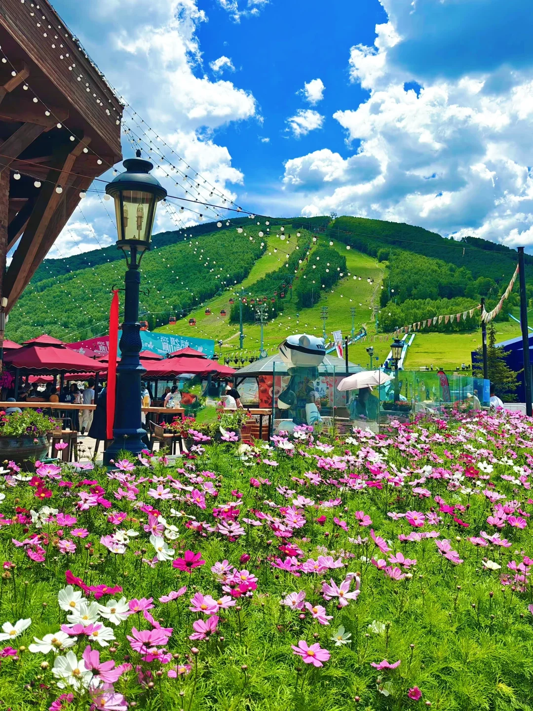 京津周边游｜总要来趟这里过18度的夏天吧