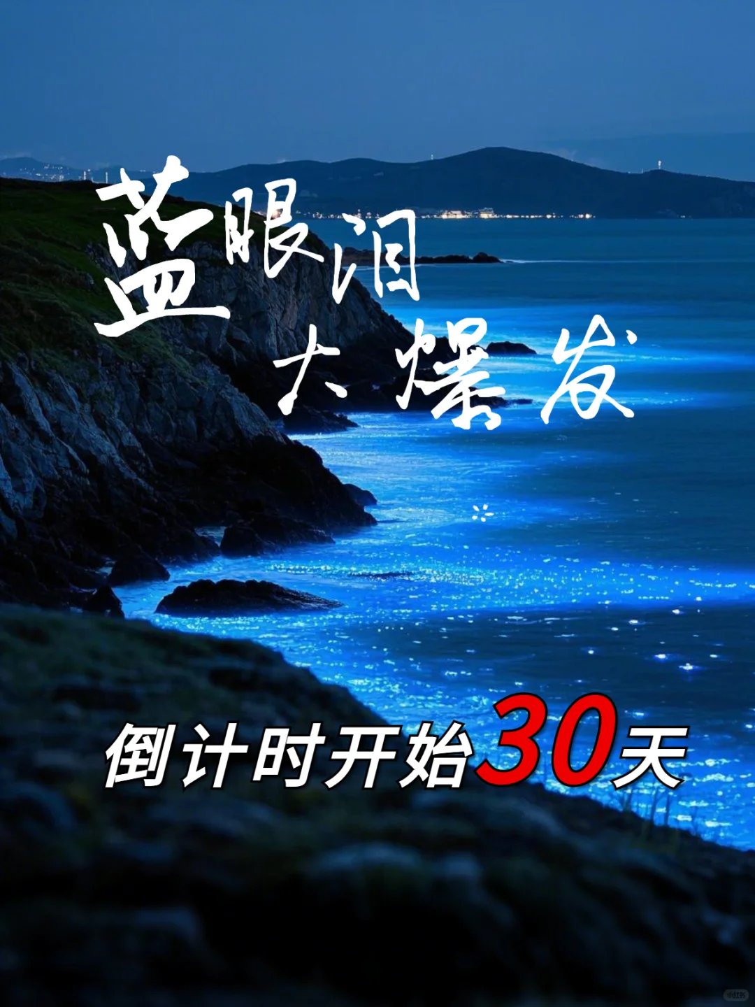 2025福建平潭第⼀场蓝眼泪 最全追泪攻略❕