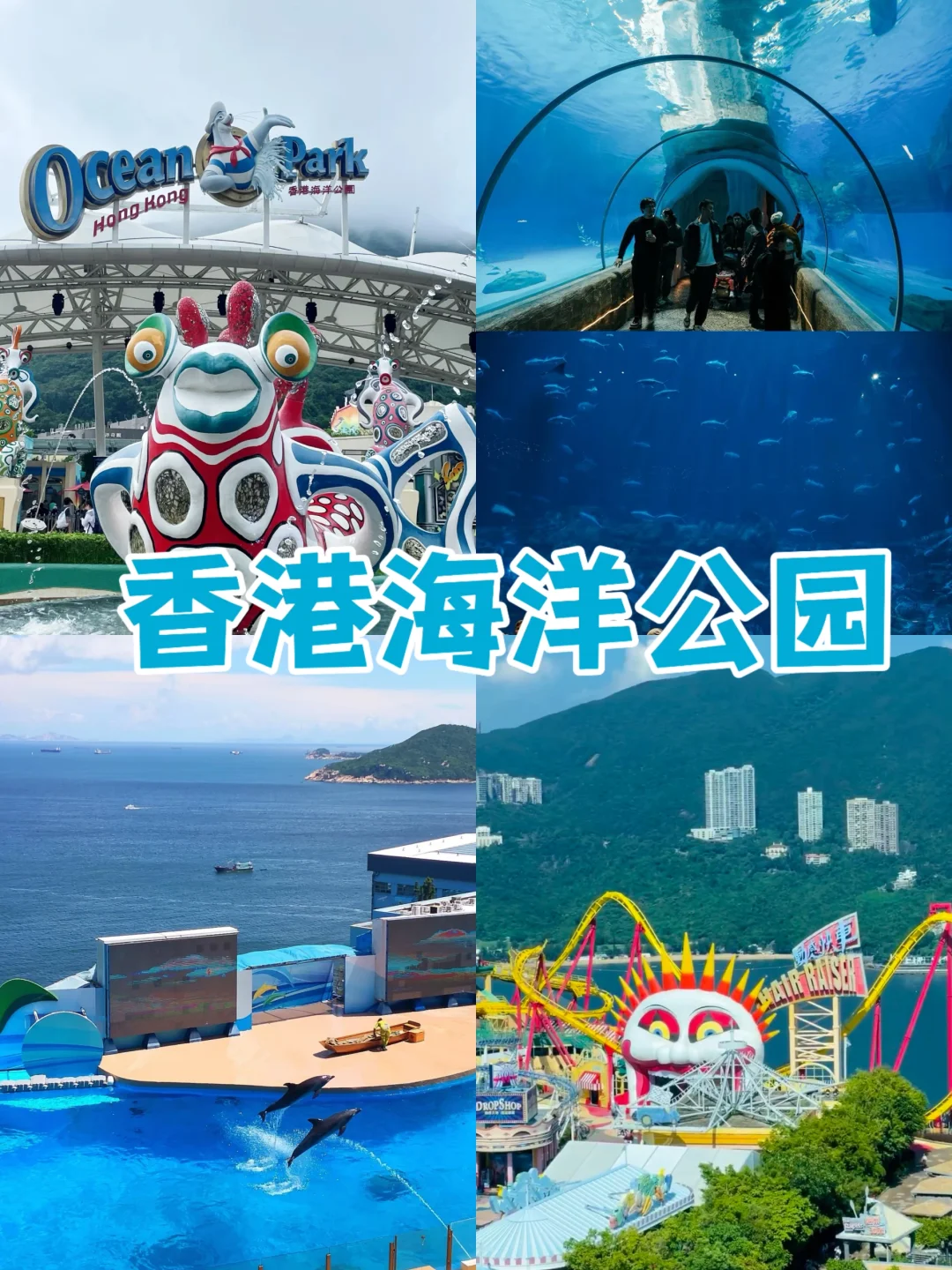 香港必去景点详细版:经典与网红打卡都玩到