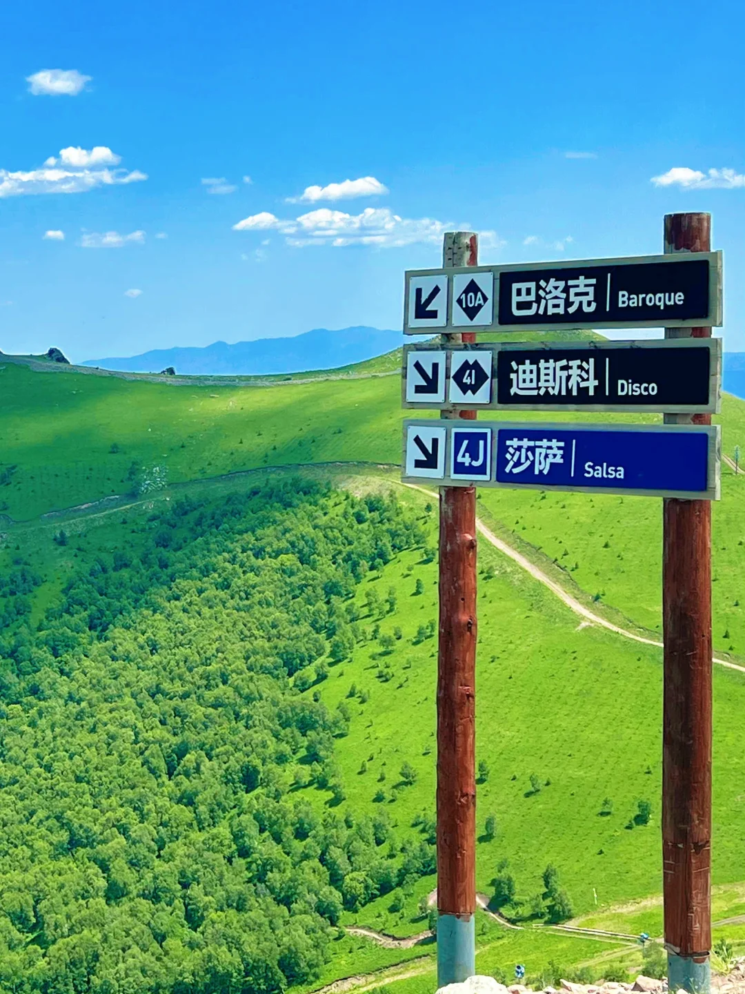 京津周边游｜总要来趟这里过18度的夏天吧
