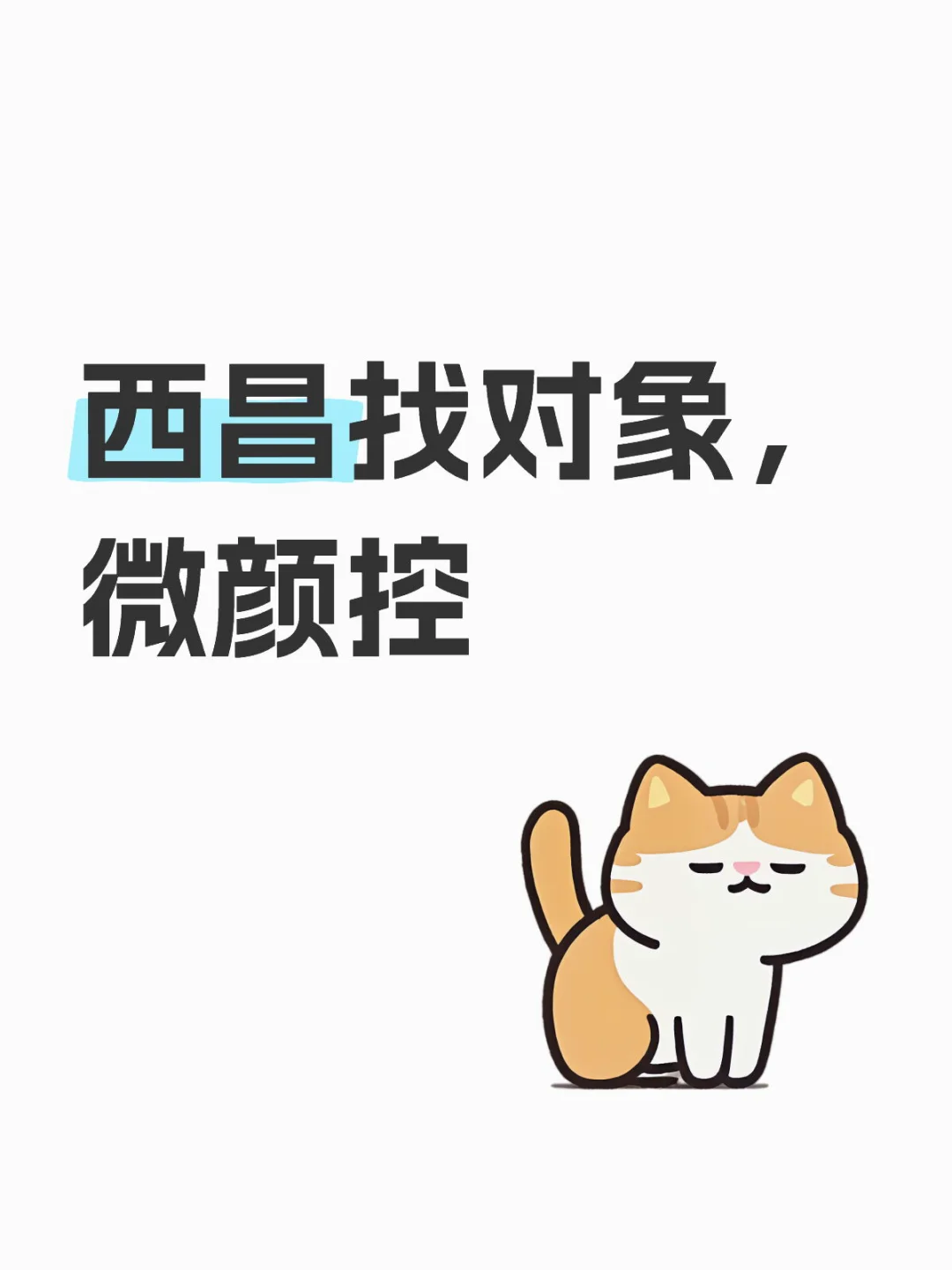 希望以后在西昌定居，不异地恋，有意带照片私