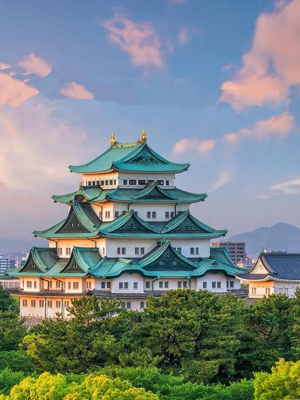 大阪旅游警告‼️3-6月新规，去日本一定要看