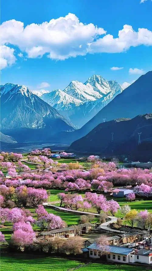 西藏的旅游攻略