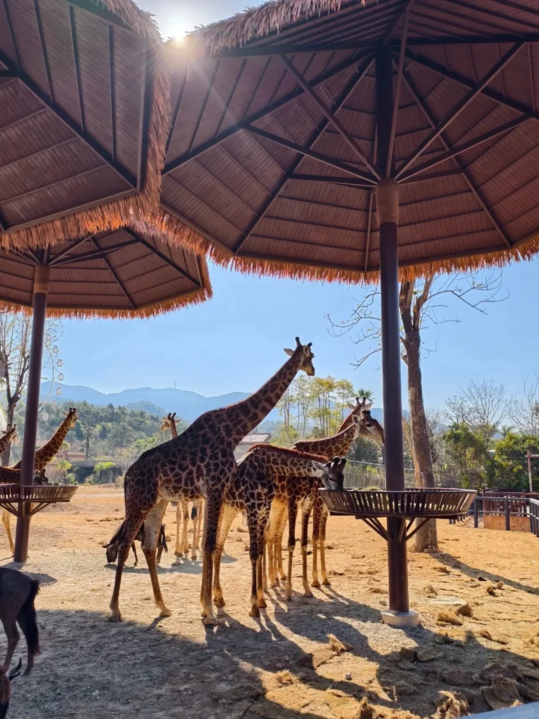 清远宝藏级旅行地丨一篇搞定！建议收藏