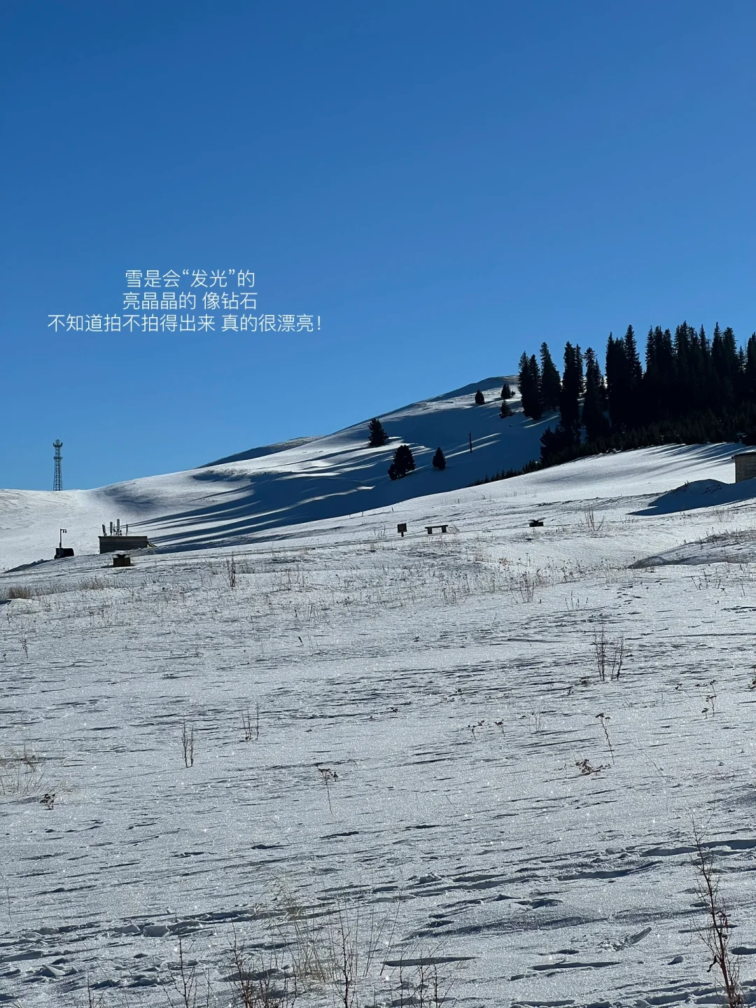 北京周末往返赛湖 独自旅行（详细攻略）🚶‍♀️
