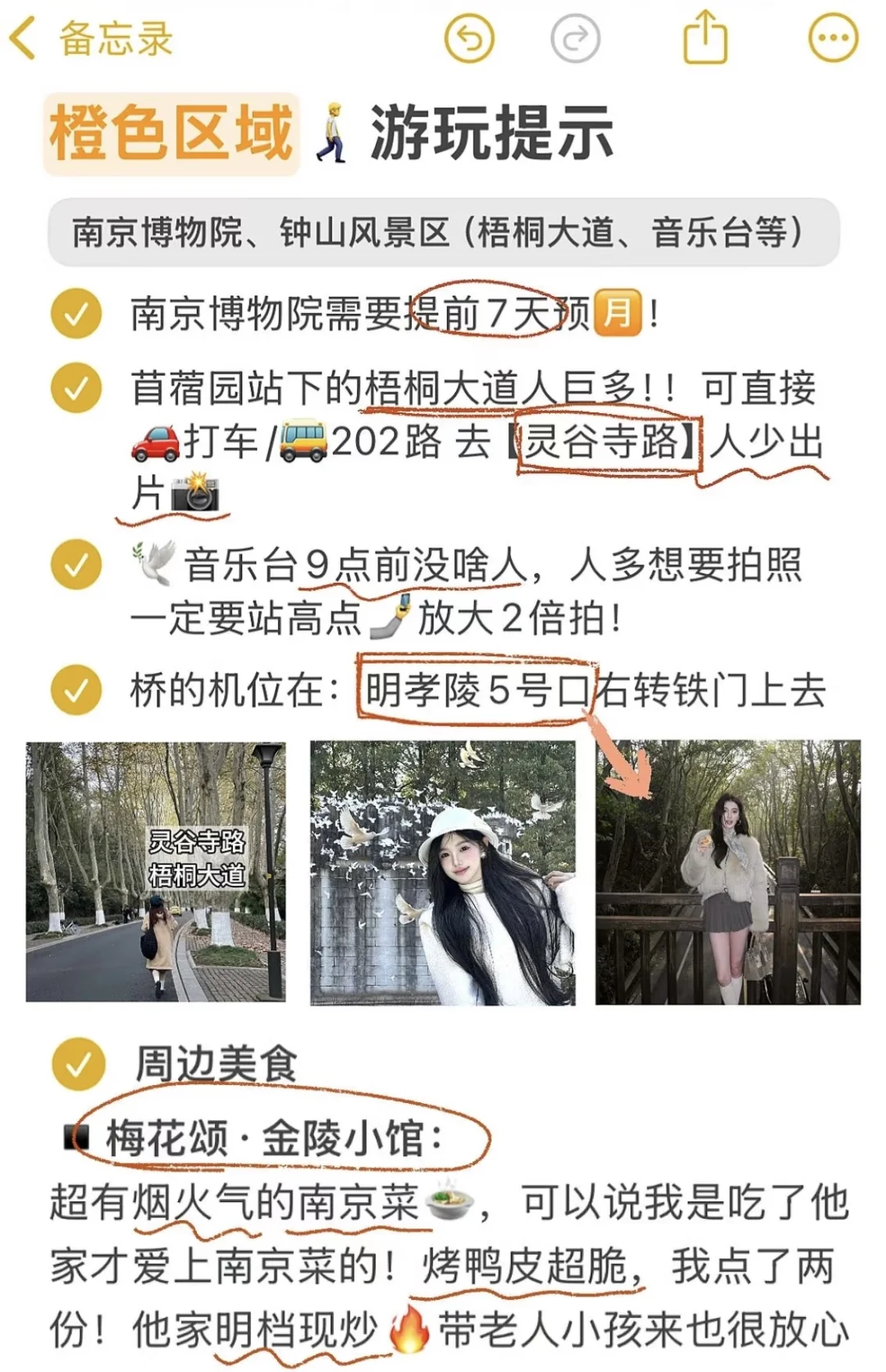 南京旅游👋绘全攻略‼️本地人总结！！