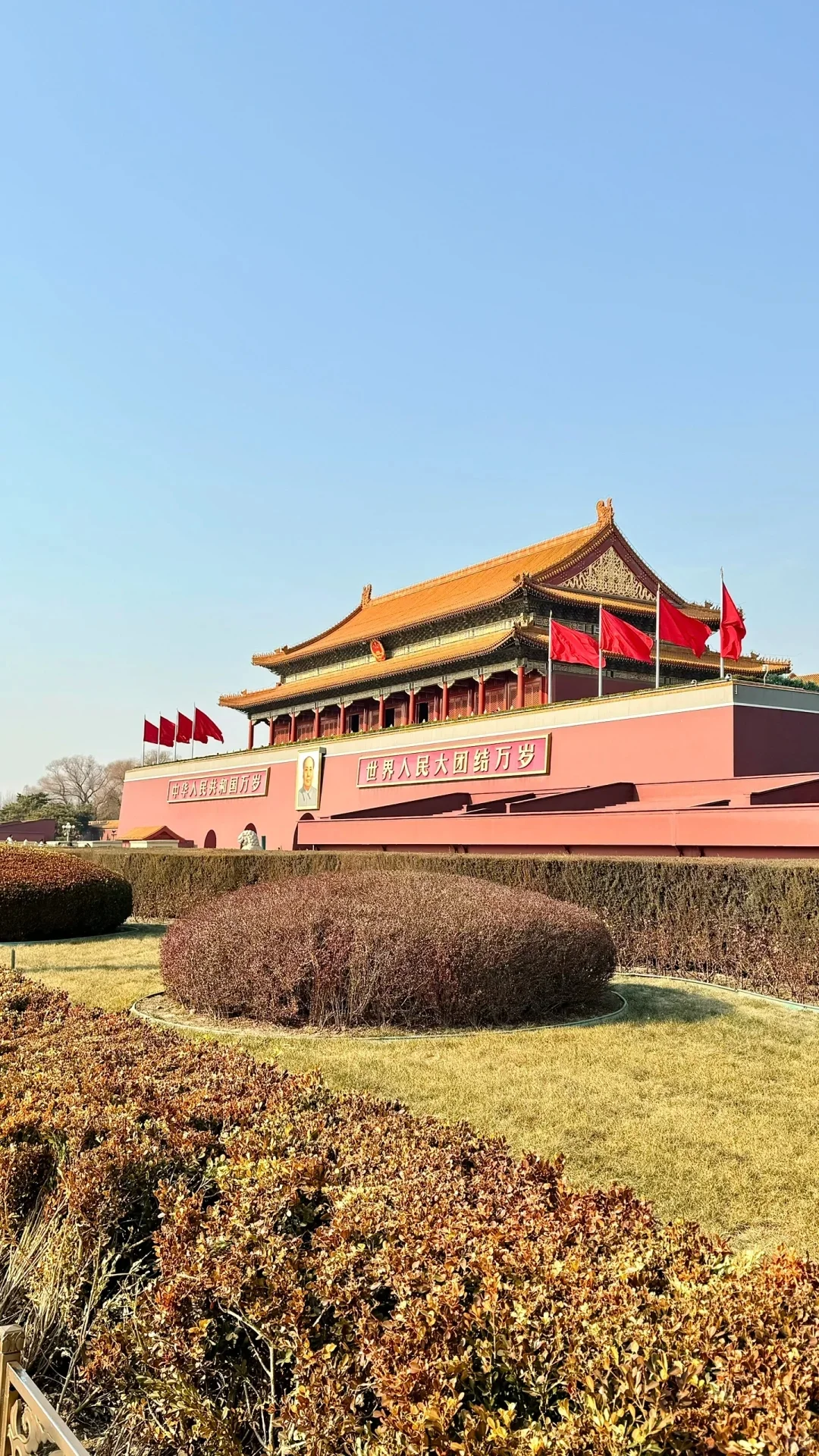 📍北京已回，能救一个是一个！！