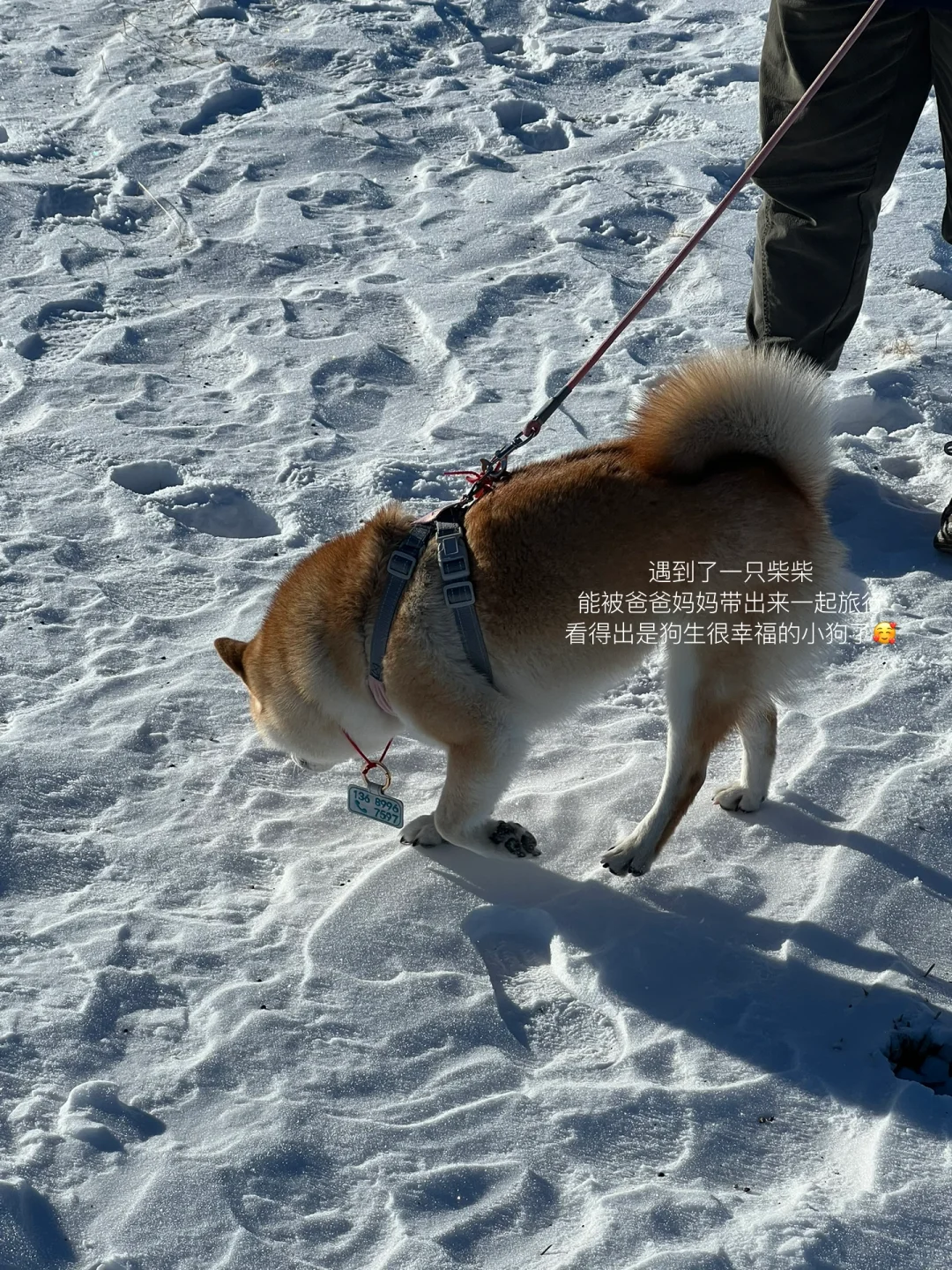 北京周末往返赛湖 独自旅行（详细攻略）🚶‍♀️