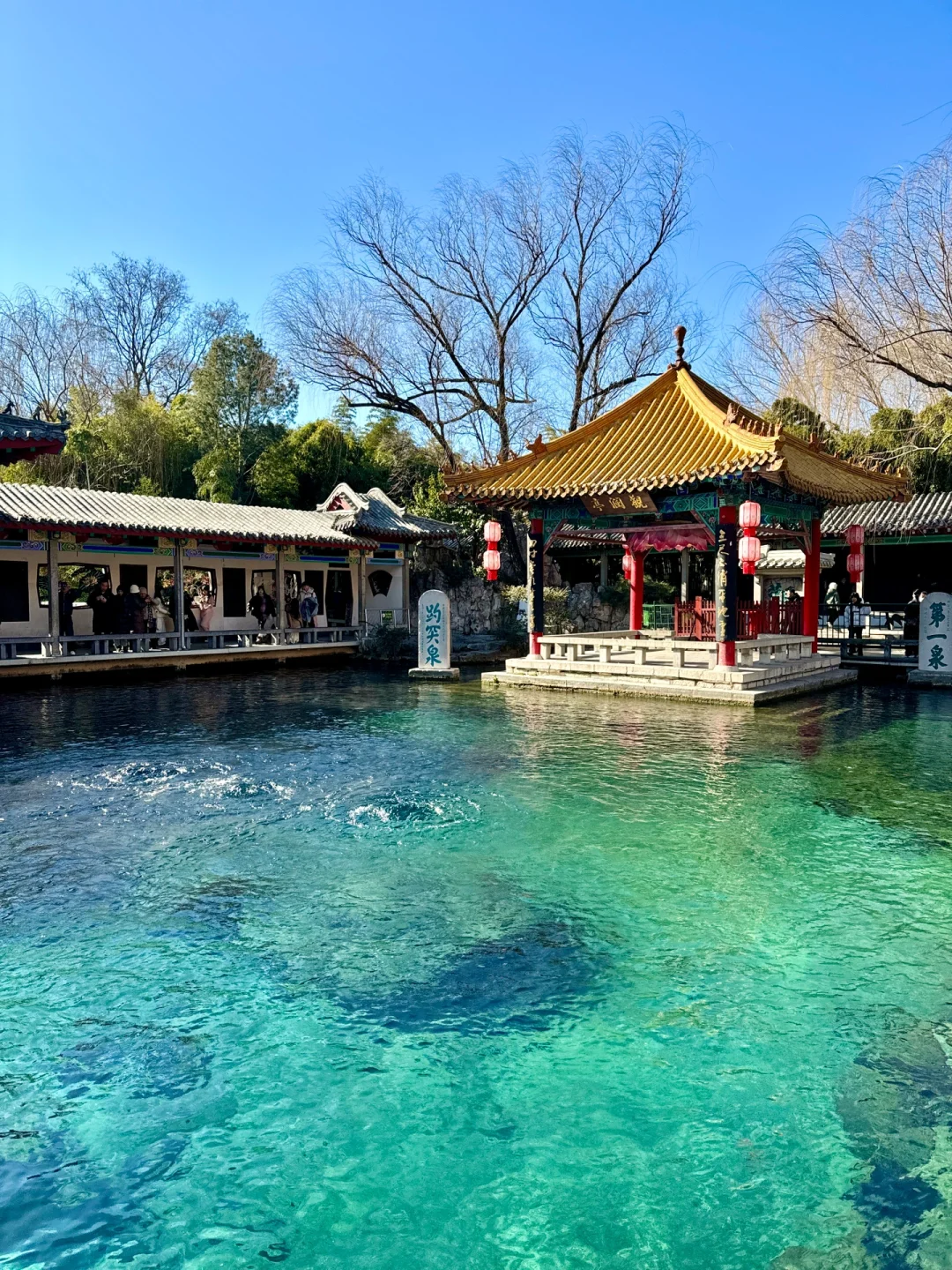 冬天来济南就走这条泉水city walk路线！