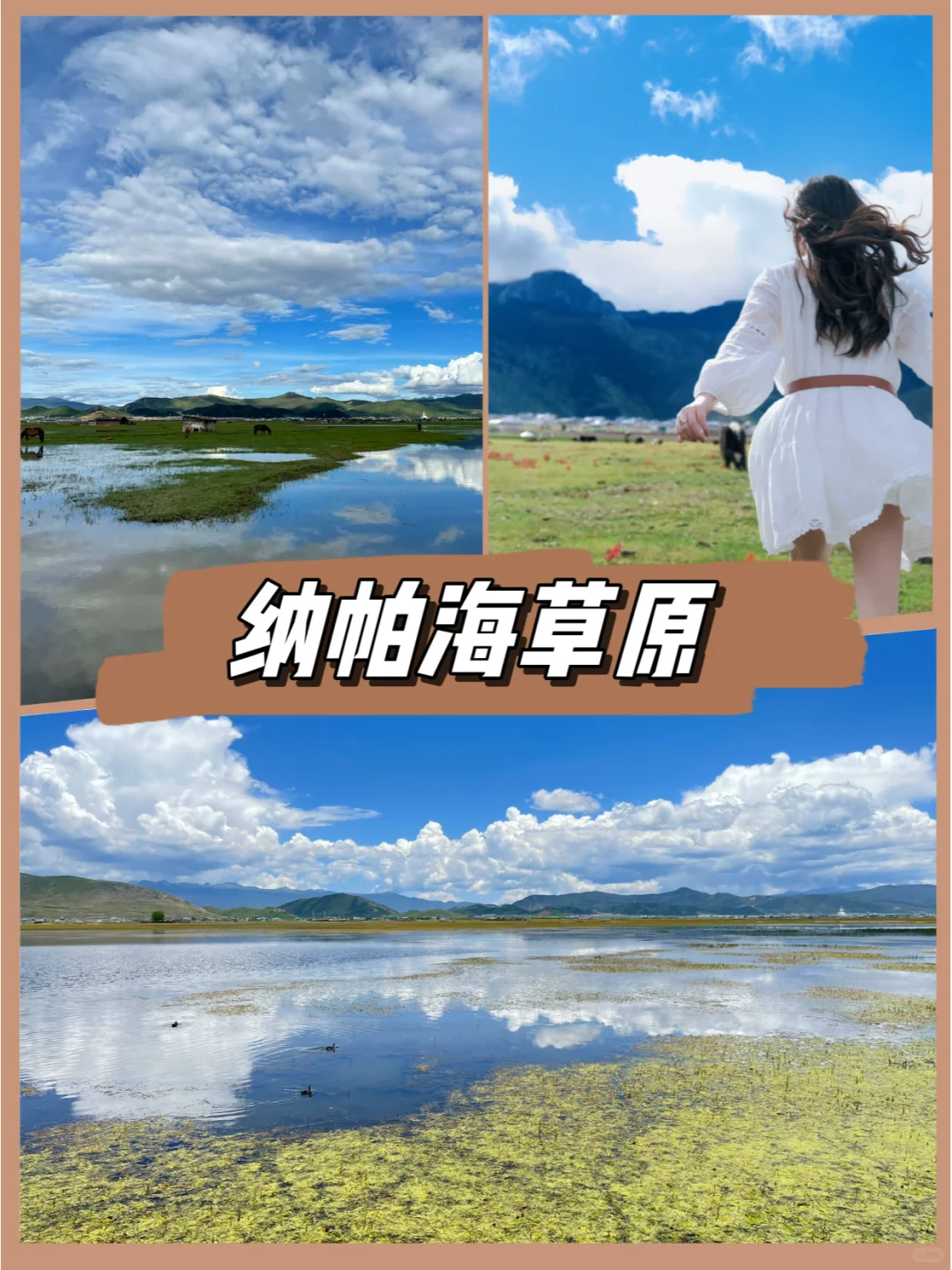 🌸云南小团行✈️云南一周旅游攻略