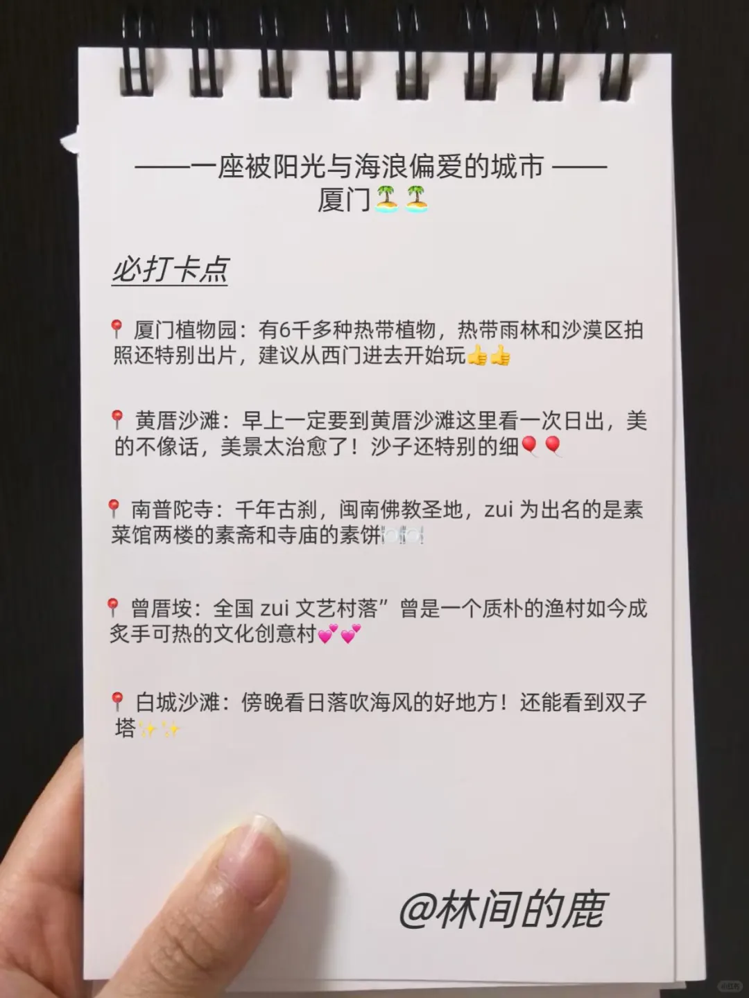 厦门以回❗️❗️连夜整理的厦门攻略（加强版）