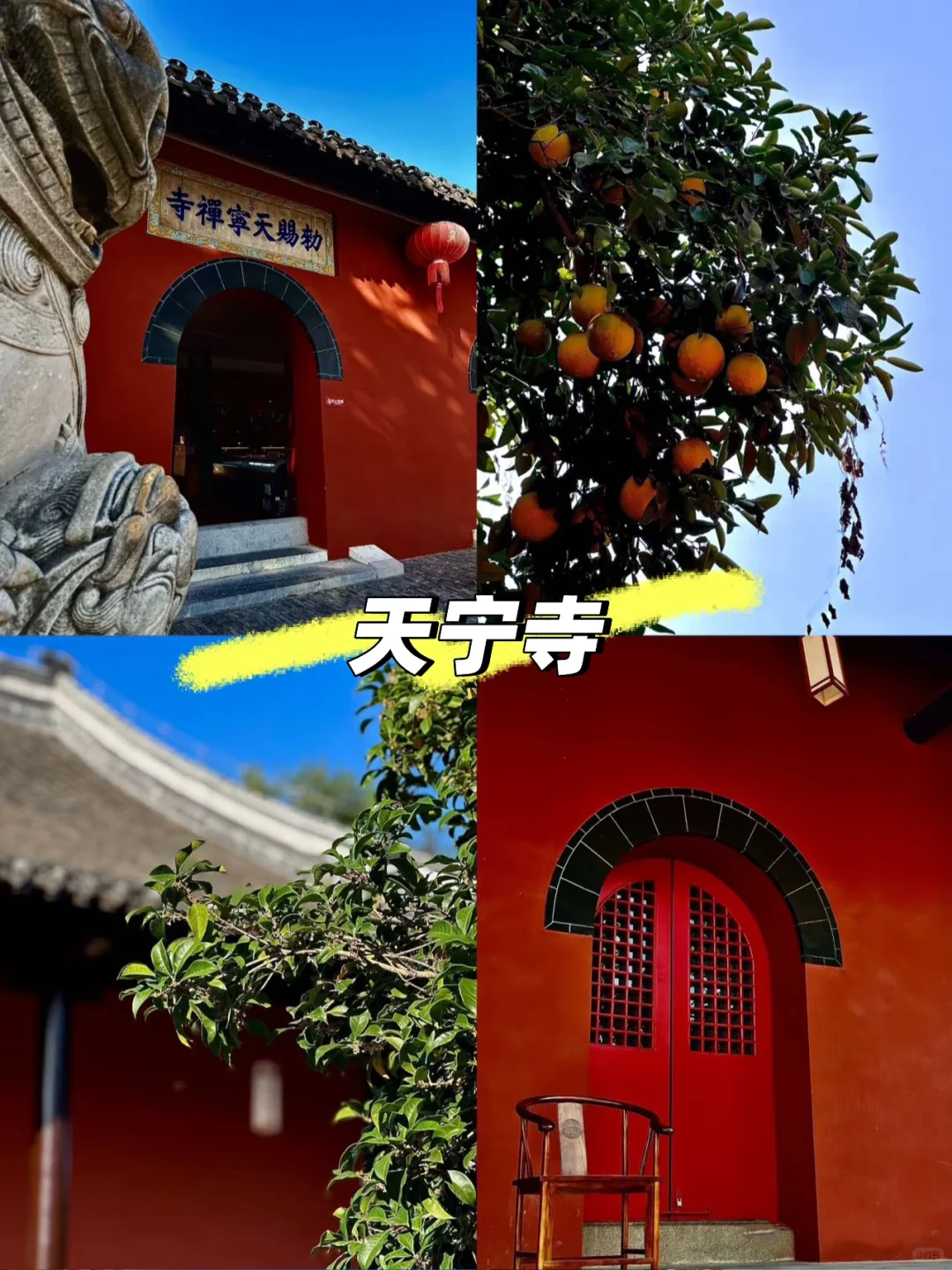3—5月来扬州📍记住这些位置！！（避坑版）