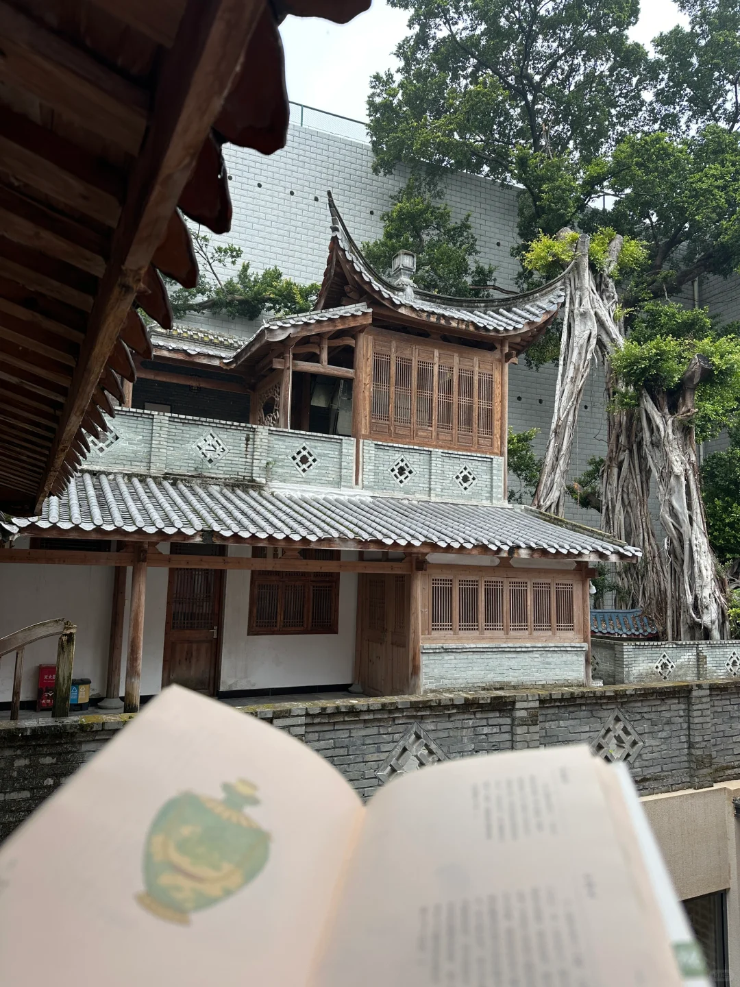 福州的寺庙已经Next level！！