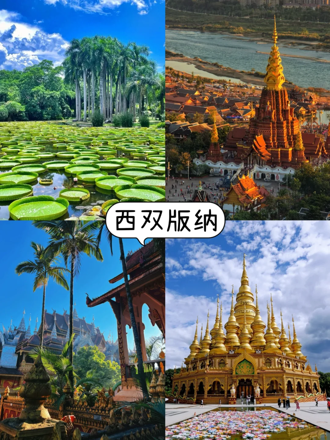 终于有人把云南旅游说明白了~轻松不绕路！
