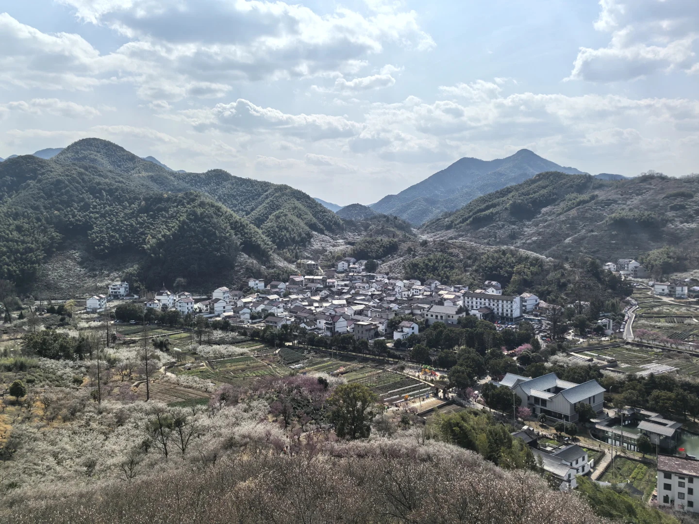 浙江绍兴｜柯桥香雪梅海