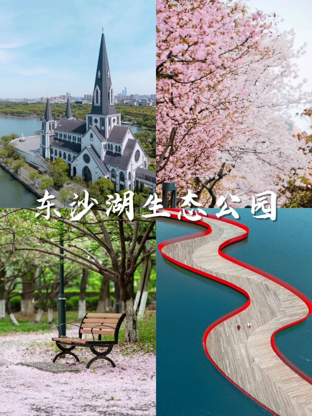 💥苏州3月踏春top15打卡地：樱花篇🌸