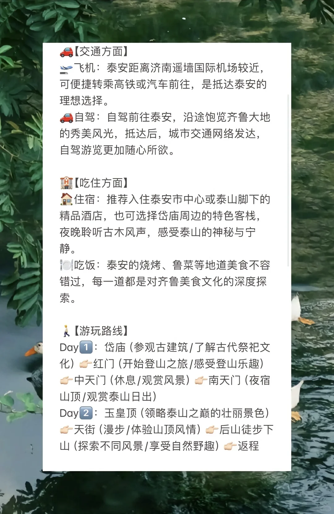 总要来爬一趟泰山呀