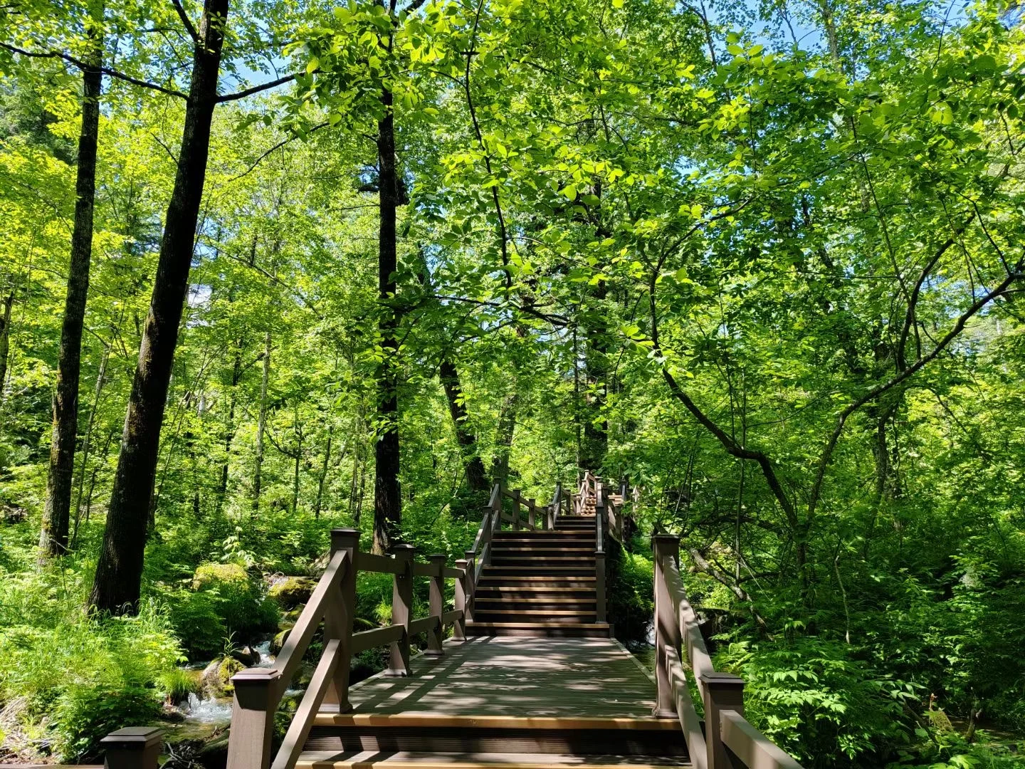 🌲哈尔滨周边小众避世秘境天花板