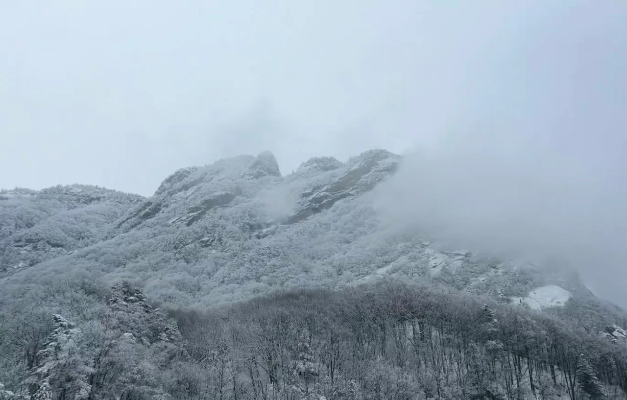 教科书级雪峡秘境被我挖到了🌨️✨