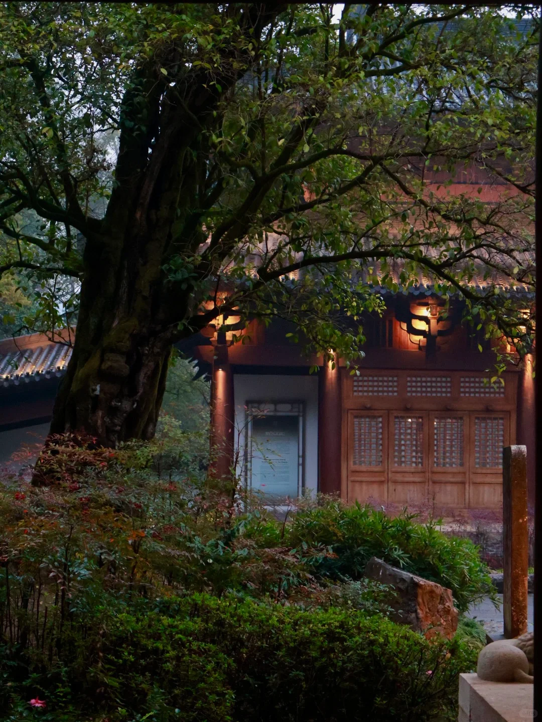 一个人武夷山📍2天1晚懒人省钱详细游玩攻略