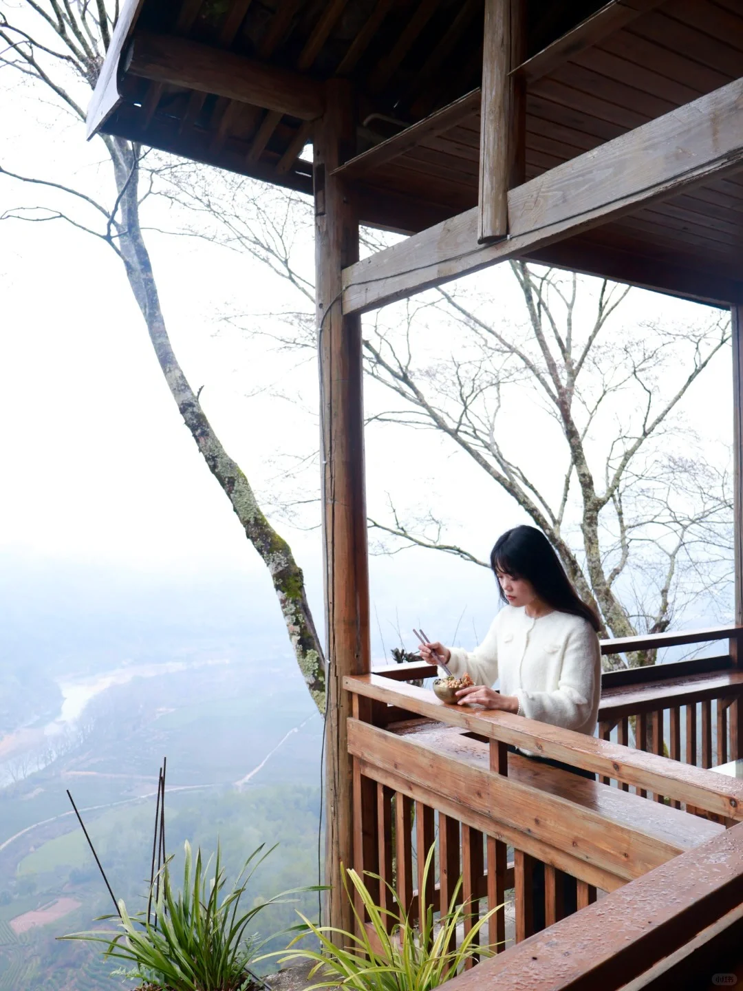 一个人武夷山📍2天1晚懒人省钱详细游玩攻略
