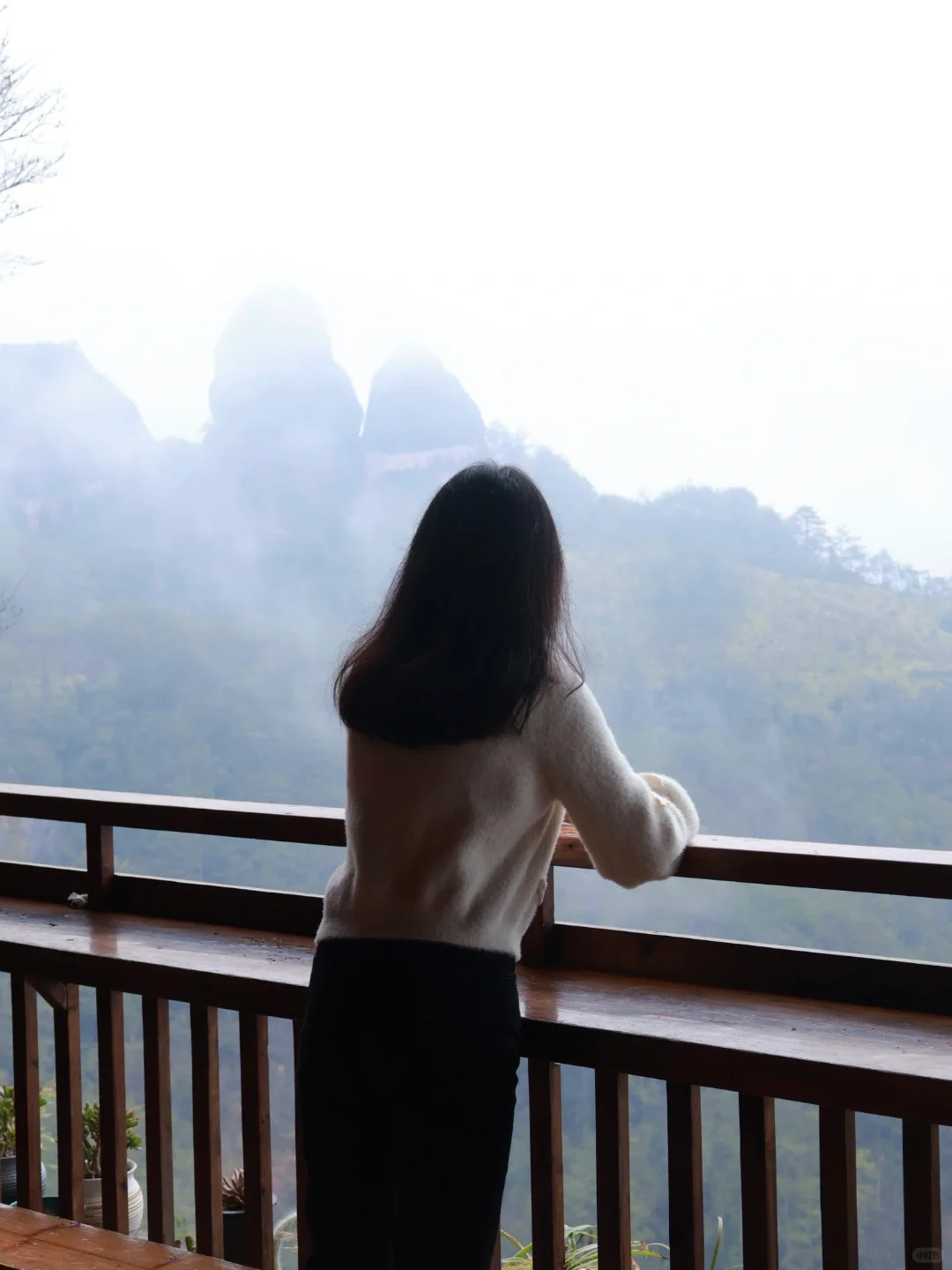 一个人武夷山📍2天1晚懒人省钱详细游玩攻略