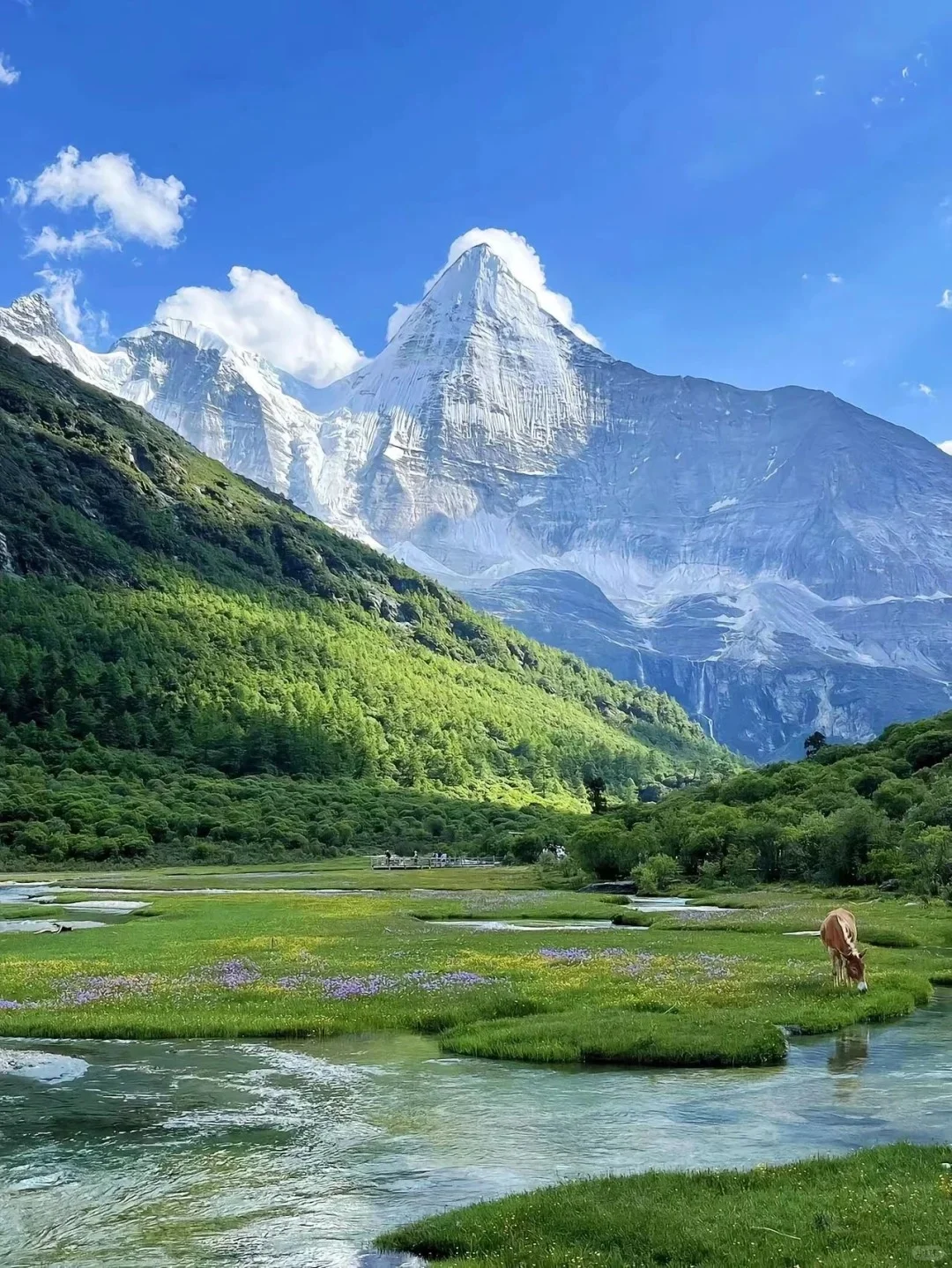 这不是瑞士，这是川西的夏天！！！