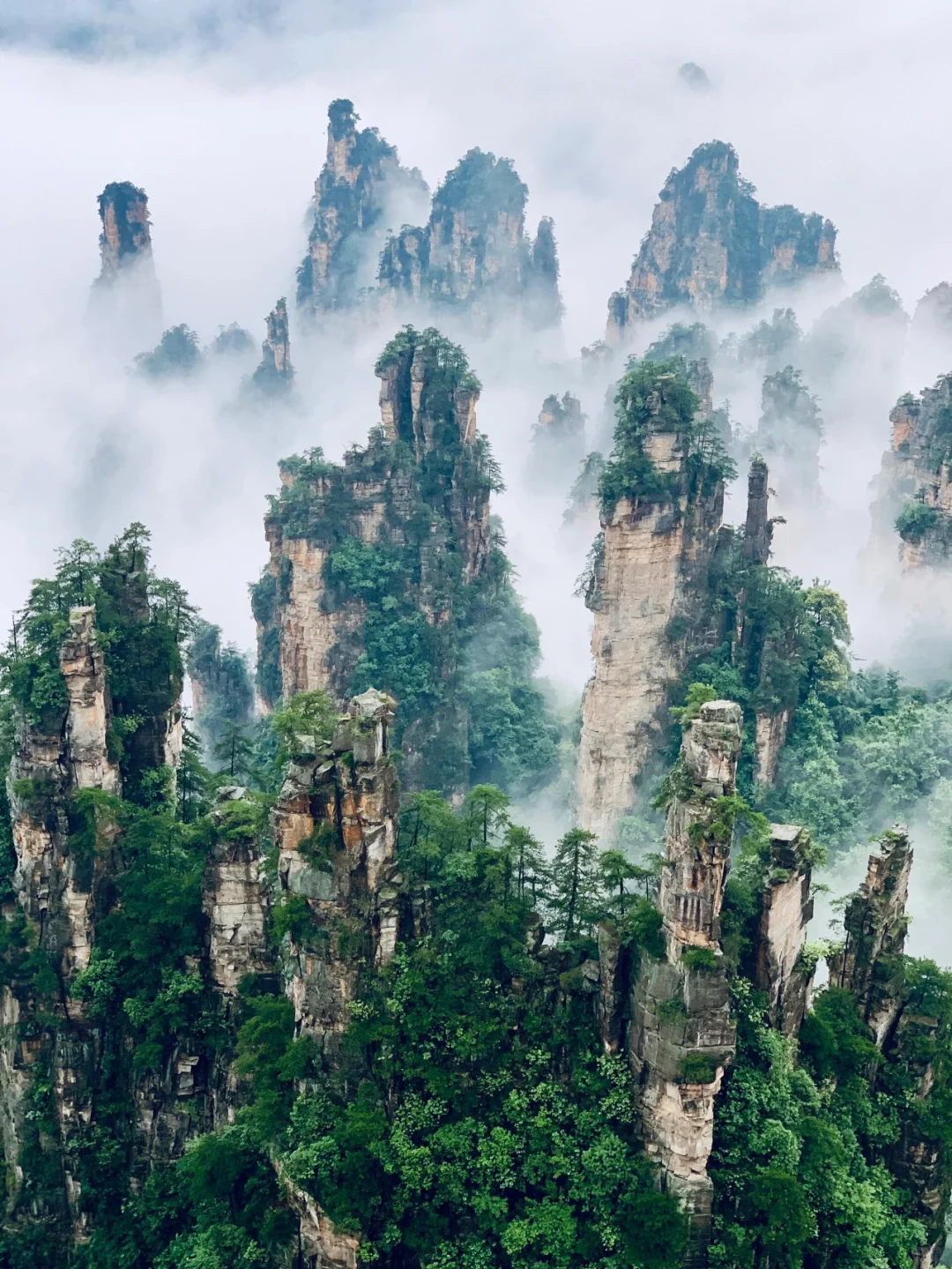 张家界湘西5天旅游攻略