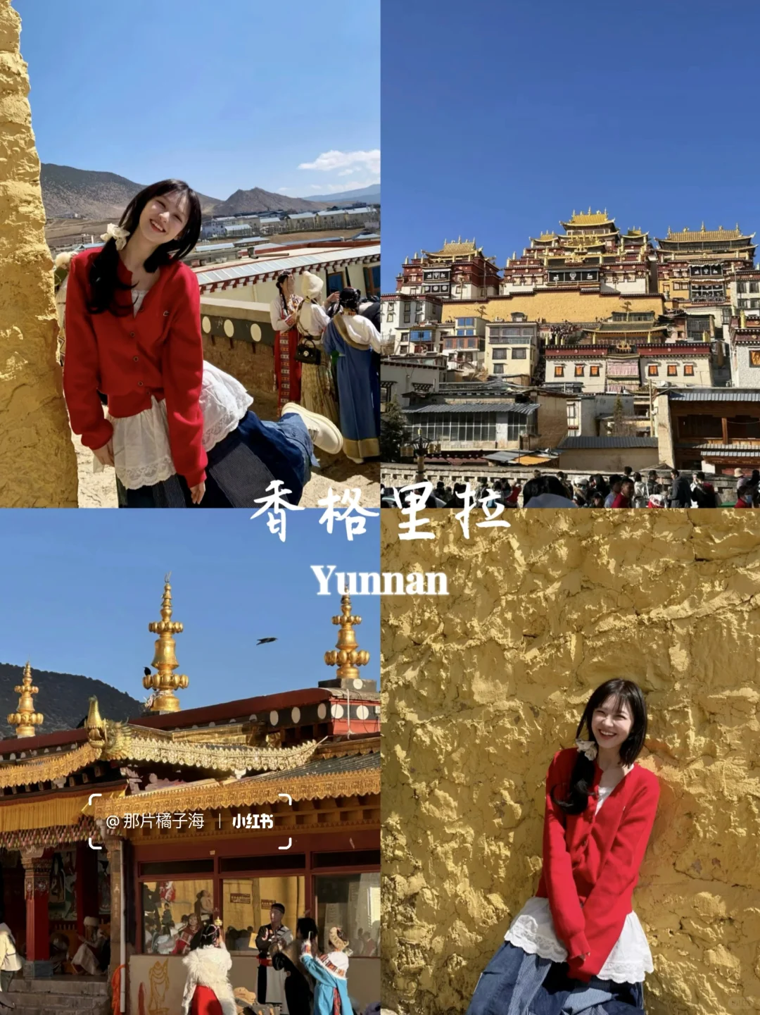 云南旅行👯七天花了2300💰谈谈感受！