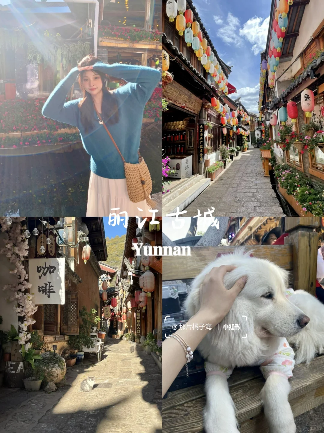 云南旅行👯七天花了2300💰谈谈感受！
