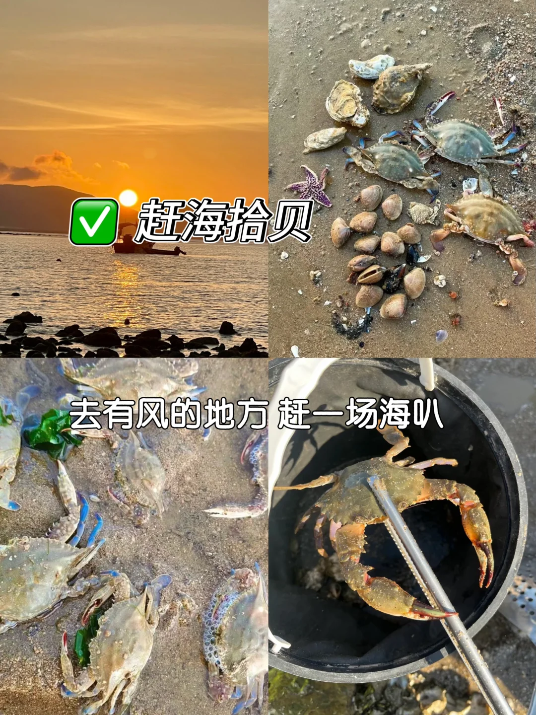 2-3月淡季去三亚旅游五天四晚只要1000+💰