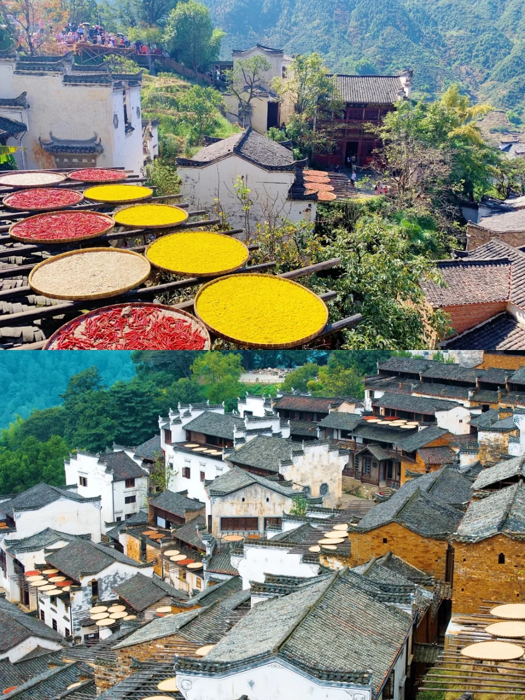 《国家地理》没骗我！3月的婺源美到哭