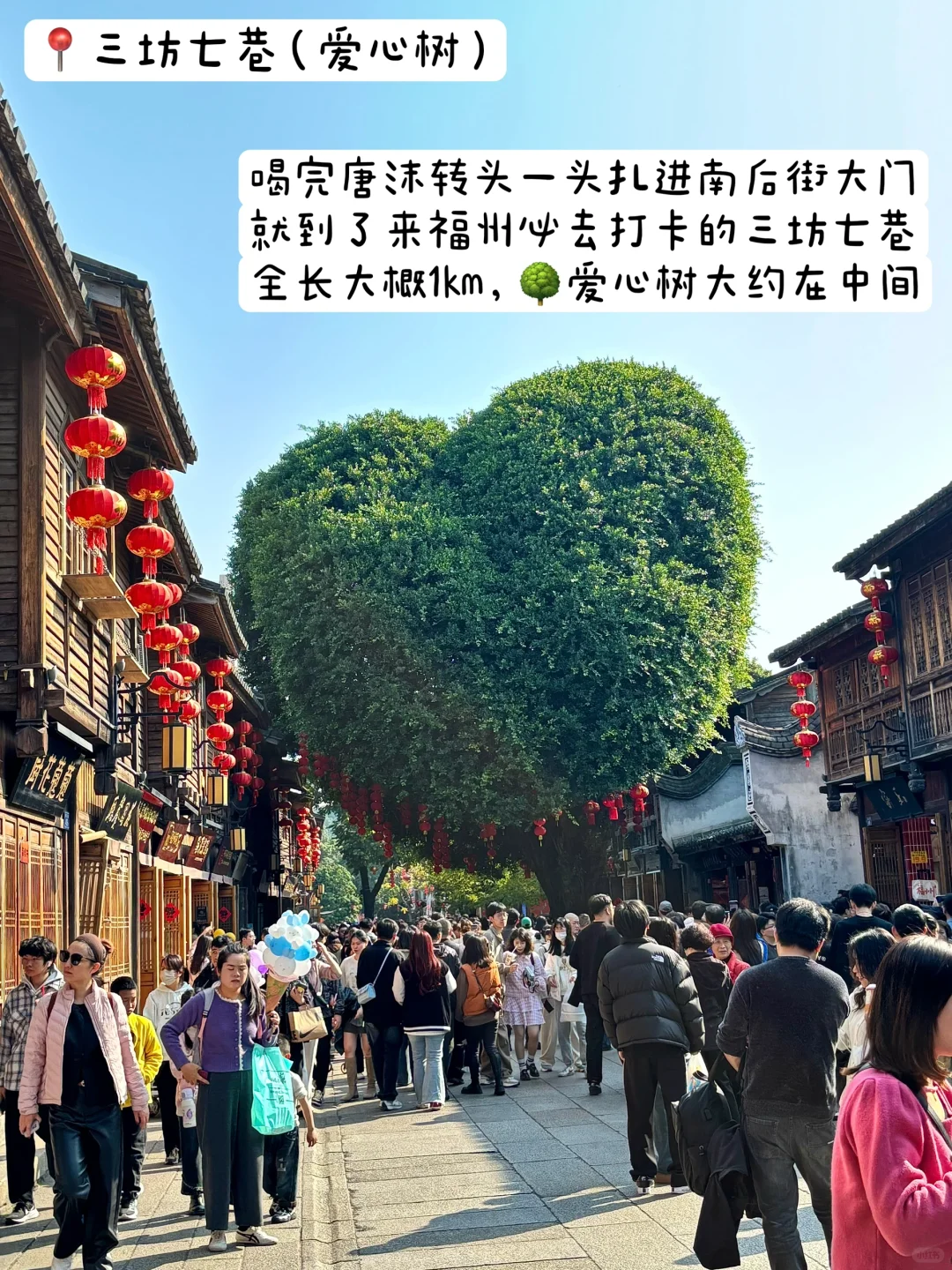 福州🌳｜江浙沪打工人3天2夜周末旅行攻略💼