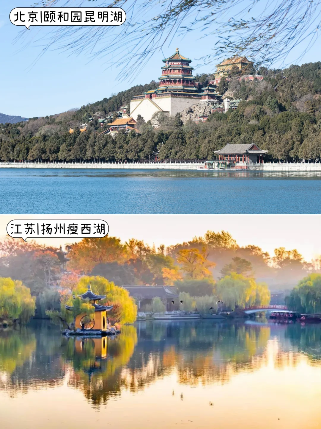 🤩3-5月不知道去哪玩？那就挑个最近的去吧