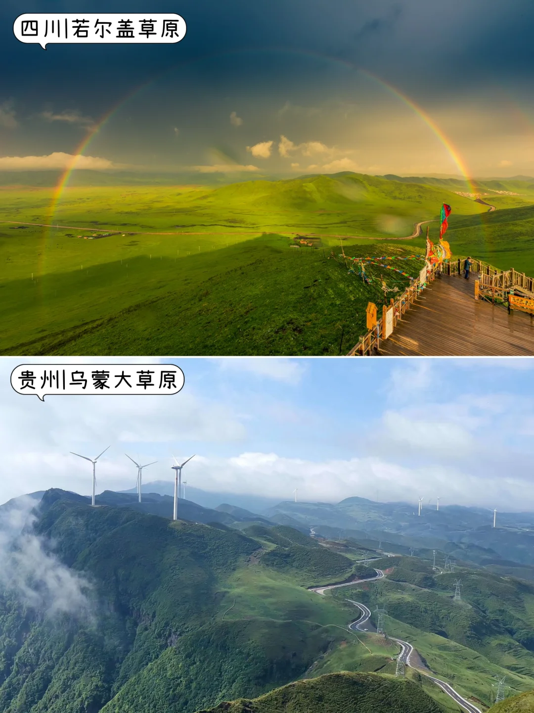 🤩3-5月不知道去哪玩？那就挑个最近的去吧