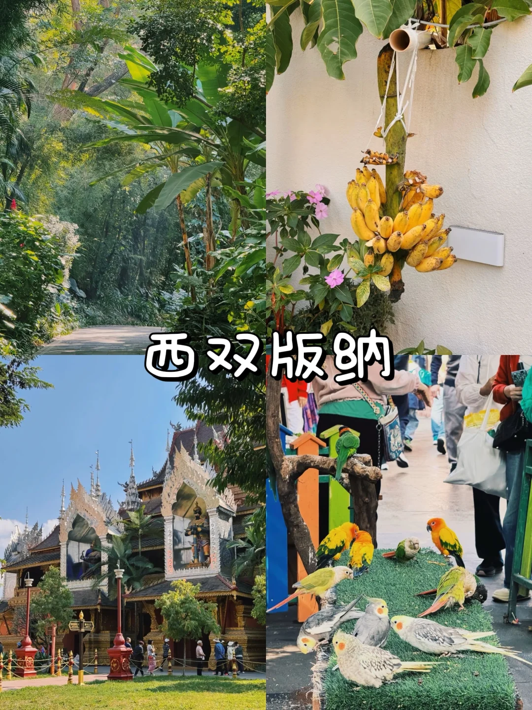 云南旅游攻略｜9大必去景点🔥
