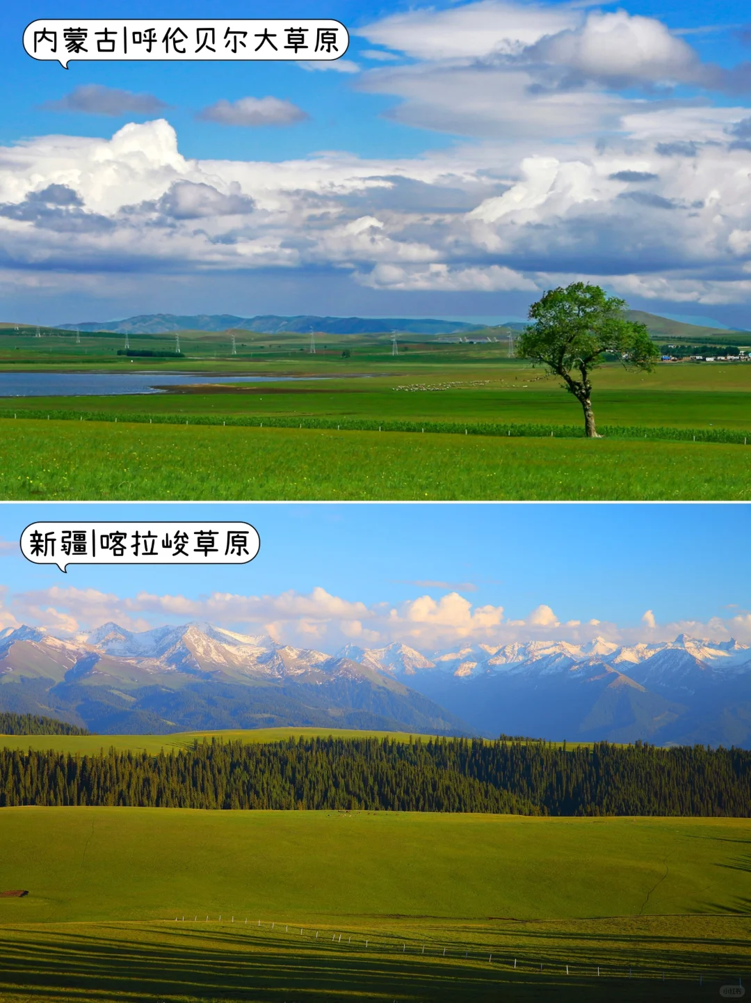 🤩3-5月不知道去哪玩？那就挑个最近的去吧