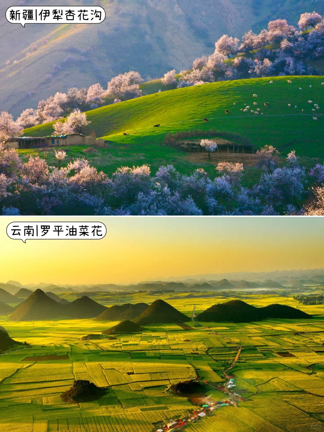 🤩3-5月不知道去哪玩？那就挑个最近的去吧