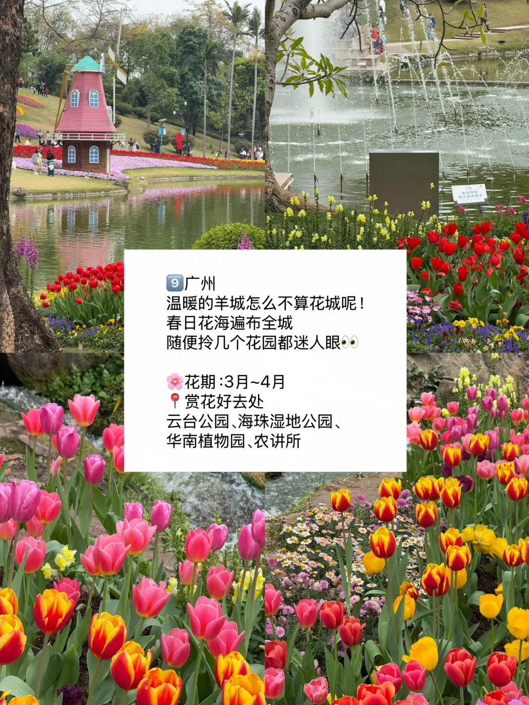 赏花慢游🌸适合3-4月春天旅游的九个城市